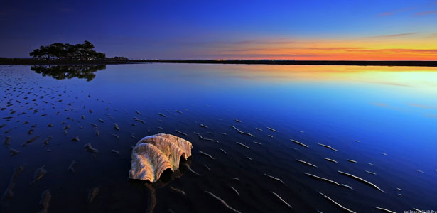 This is default featured slide 1 title