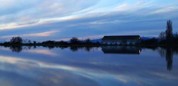 This is default featured slide 5 title